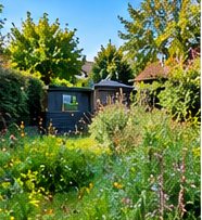Overgrown garden before clearance